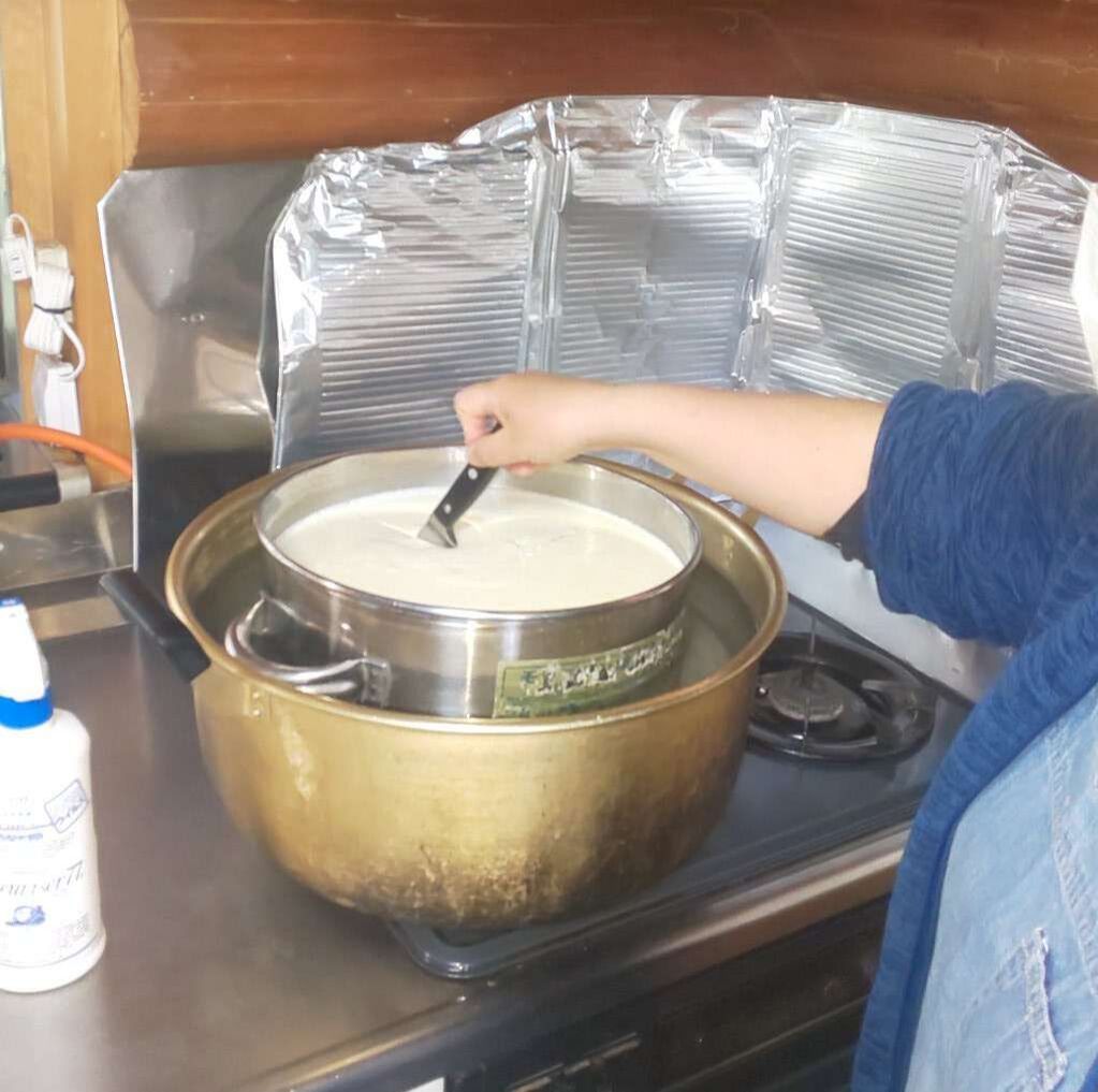 大豊にあるレーベン牧場でチーズを作る体験。Making cheese at Reben Farm in Otoyo